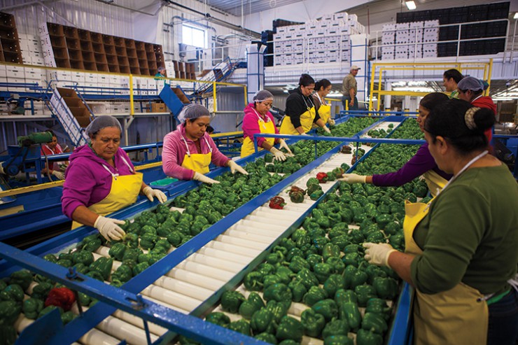 Food processing